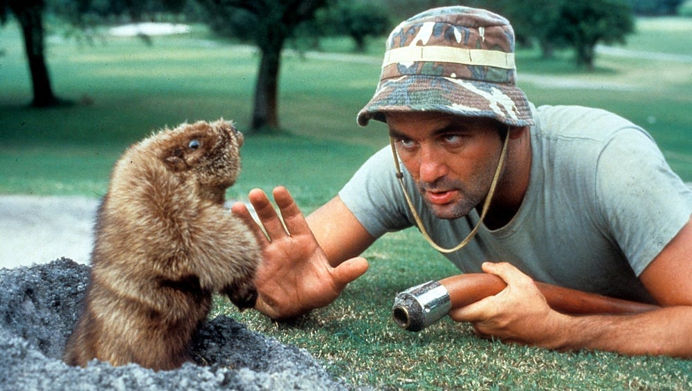 What Caddyshack Got Right About Elon’s America
